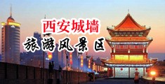 www草逼com中国陕西-西安城墙旅游风景区